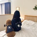 위드 마이 펫 이미지