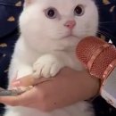 간식이모 이미지