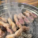 돈도야지 이미지
