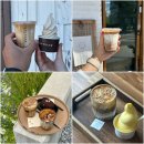 초당커피정미소 | [강원/강릉] 갤러리밥스/꾸옥/툇마루/초당커피정미소 카페4곳 방문후기