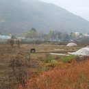 안법초등학교 이미지