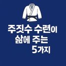 라이쳐스 주짓수&태권도 | 주짓수 수련이 삶에 주는 변화 5가지