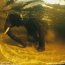 새벽노을 이미지