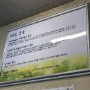 봉평메밀고을