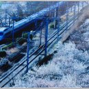 가야진사 이미지