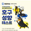 호구
