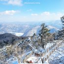 동화카프라자 네이버블로그
