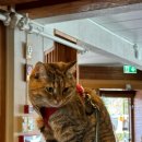 더하임호텔 이미지