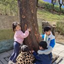 🌳 에게 말해봐~!! 개미, 개나리 👋 제비꽃 이미지