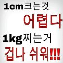 점핑GOGO