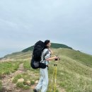 (주)유로트럭서비스 | 3대 백패킹 성지 굴업도 후기 🏕️ | 덕적도 경유·배편·가는법·식사·다잇소 총정리 (2탄)