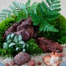 외삼초등학교(병설) 이미지