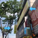 혜화당한의원 이미지