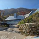 양산목장 | 양산 카페 성림목장에서 요거트블루베리 &amp; 크룽지 먹은 후기