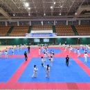 꿈나무태권도체육관 네이버블로그