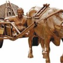 워낭소리 이미지