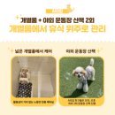 🐶 말티즈 '콩이'의 7박 8일 해피멍데이 호텔 이용 💛