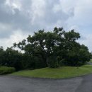 아덴힐리조트 이미지