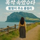 칠보중학교 | 제주도 폭삭속았수다 촬영지 주소 총정리