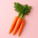 제이짐 휘트니스 이미지