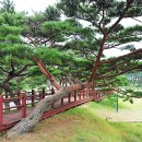 서포리관광지 이미지