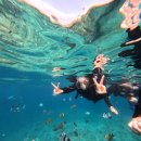 영한농장 | [25 오키나와] 2일차 Yuinchi호텔 조식, 만좌모, The Bros, Blue Cave 푸른동굴 4월 스노클링