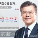 40 이미지