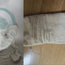 세탁예술가 이미지