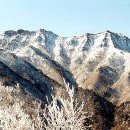 고야여관 이미지