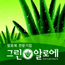 그린알로에7 매일경제