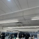 라이언복싱 고등지구점 이미지