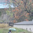 신궁모텔 이미지