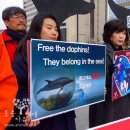 울산 남구청의 돌고래 수입 시도를 규탄하는 광화문 기자회견 후기 이미지