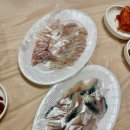 회뜨는달인 | [제주도 맛집] 제주동문시장 남해수산 고등어회 추천, 회 떠서 먹는 곳 금메달식당, 갈치조림 강추!