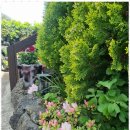 일출봉민박 이미지