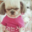 여심과 남심 이미지
