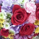 한마음콘도 이미지