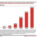 글로벌 장악하고 점유율 높여가는 중국산 앱들 이미지