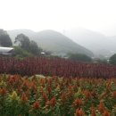 하임농장 이미지