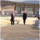 여주흥신소 배우자 외도 조사 의뢰인 후기 - 대한 파트너스와 함께한 승리의 기록