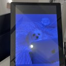 서울연세병원 | 서울연세병원 입원, 응급실, 주차장, 골절수술