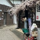 영일쌀상회 | 포항 1박 2일 여행 코스(죽도시장, 스페이스워크, 구룡포일본인가옥거리, 해수욕장)