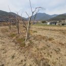 김성남 농장 이미지