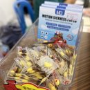 낭그늘 | 푸켓여행] 5.푸켓요트투어 바다로요트 바나나섬 라차섬 선셋 카타마란 요트 일일투어 내돈내산 솔직후기