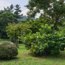 김순선조산원 네이버블로그