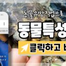 복어학교 이미지