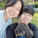 베라데로 | 태안애견동반여행 7만원대 수영장 있는 태안애견동반숙소 베라데로펜션