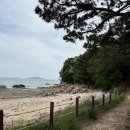 섬사랑굴사랑