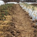 액비골(2) 이미지