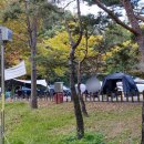 잔디마당 자동차 야영장 이미지